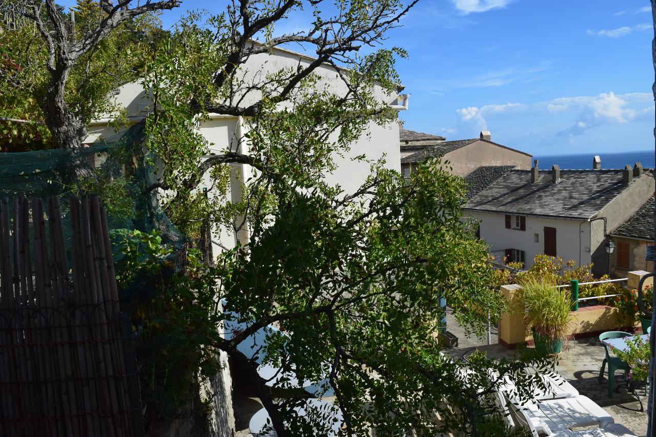 U Patriarcu Hotel